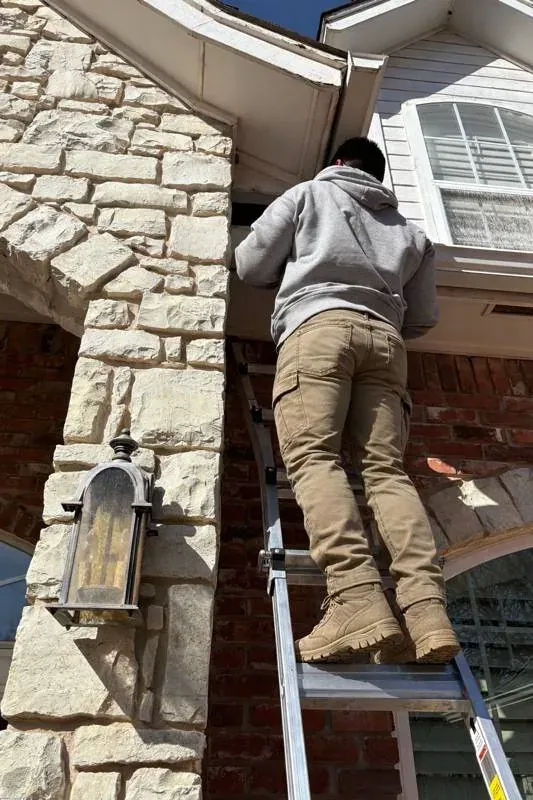 Completed pest control service at a residential property